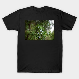 Pine Tree Purple Berries T-Shirt